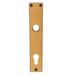 Escutcheon for Cylinders 72mm, Champagne
