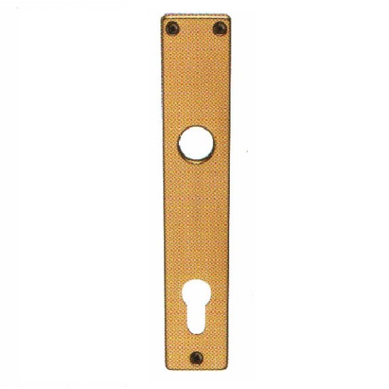 Escutcheon for Cylinders 55mm, Silver