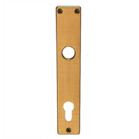 Escutcheon for Cylinders 55mm, Gold