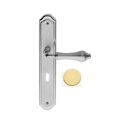 Door handle ALDAR Polished brass